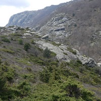 Photo de france - La randonnée du Mont Caroux